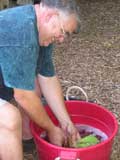 John Sautner cleaning iris